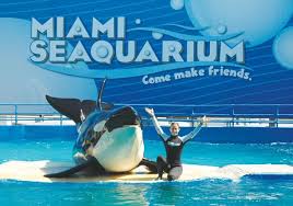 Le Miami Seaquarium